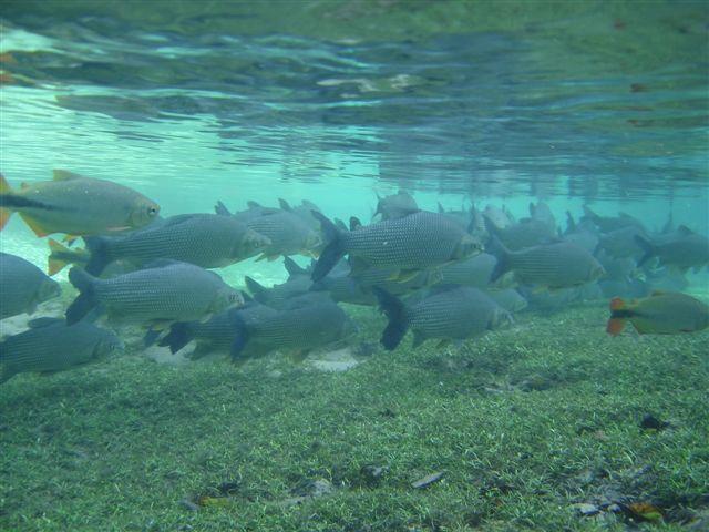 FOTOS 072.jpg